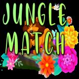 Jungle Match